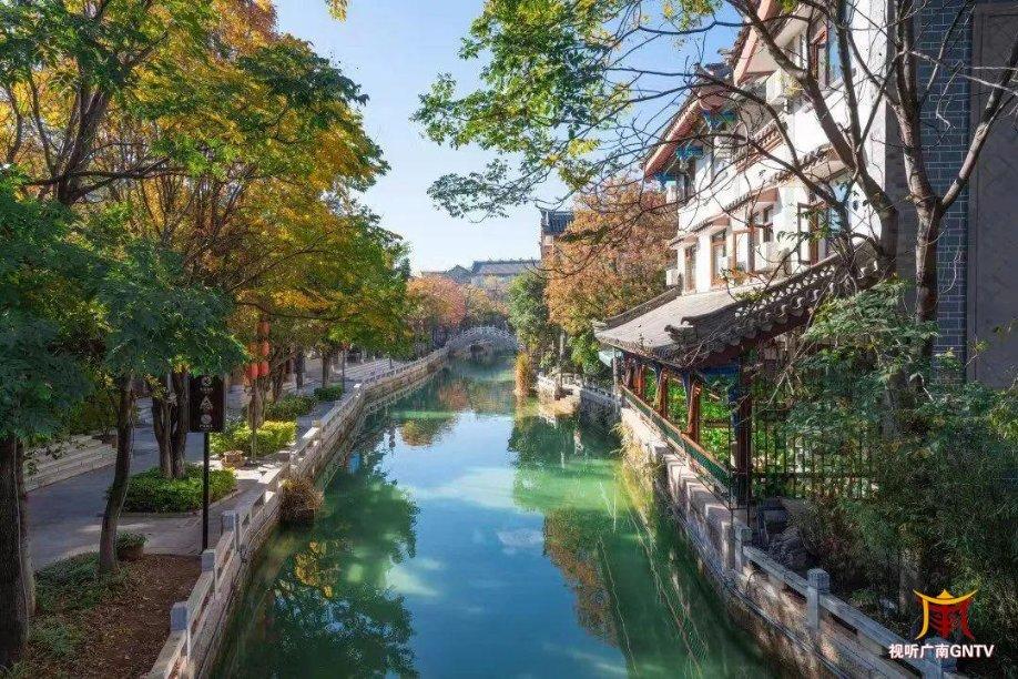 除虫大师
